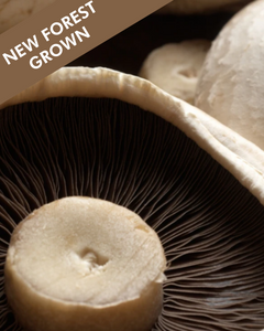 Flat Mushrooms