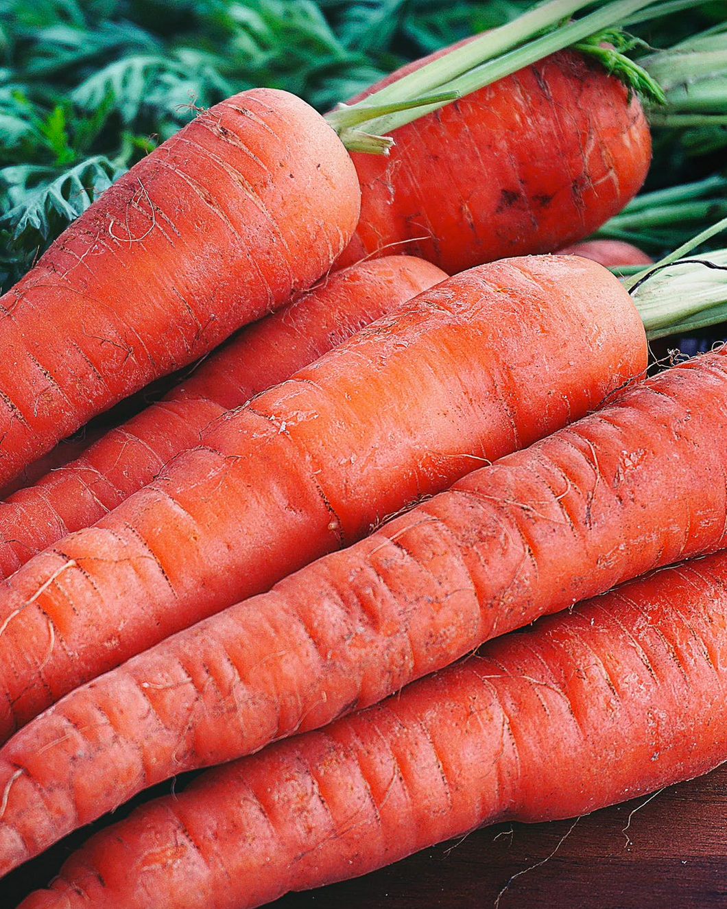 British Carrots