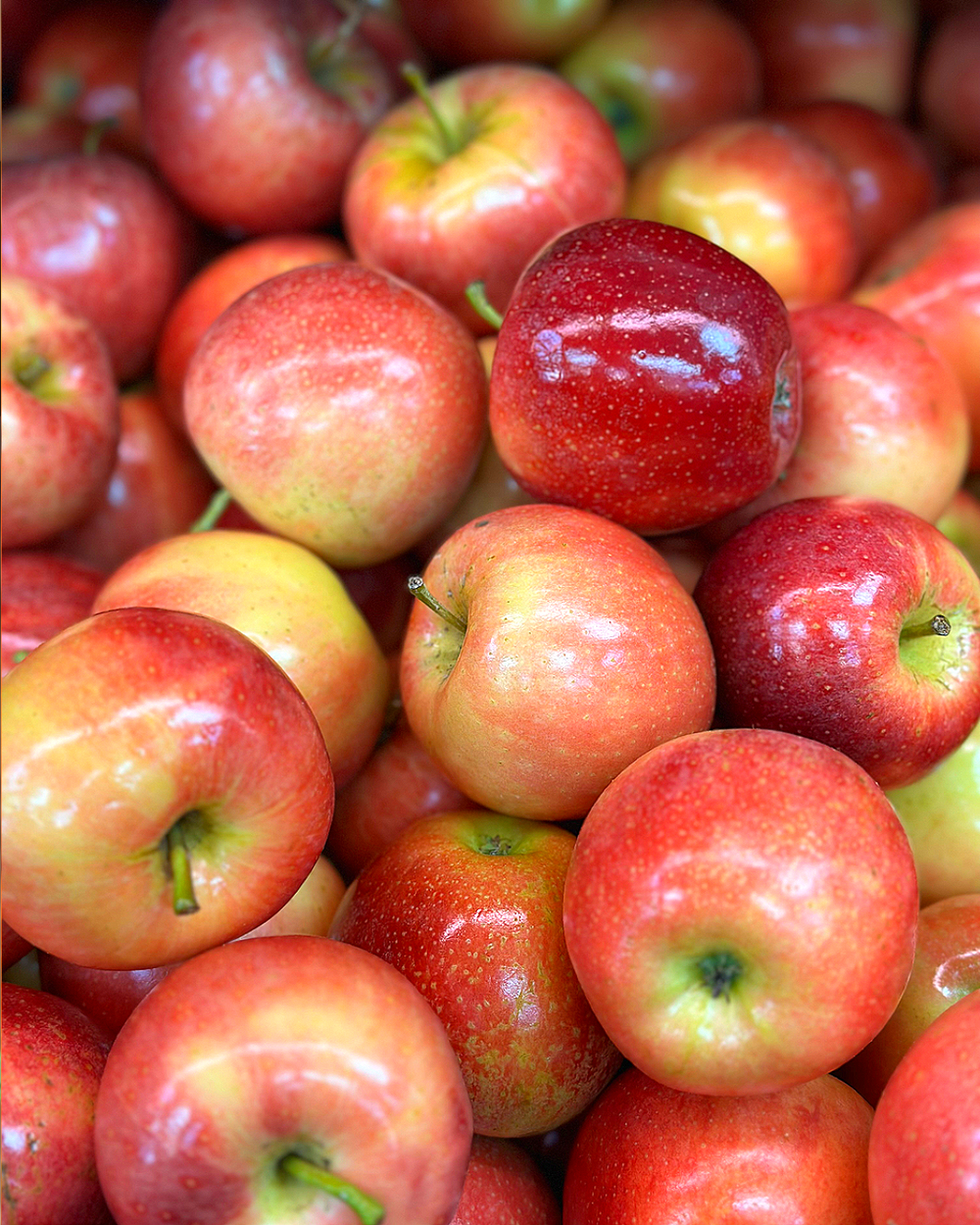 Sweet Gala Apples