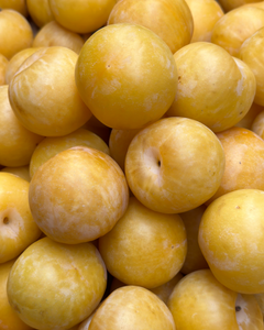 Yellow Plums